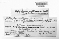 Image Associated With the Occurence